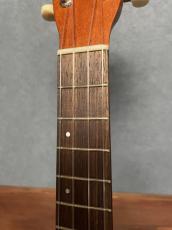 Seilen 【店頭限定】SLMT-3720 Mini Tenor 2024年製　Sinker Cedar × Pernambuco_6