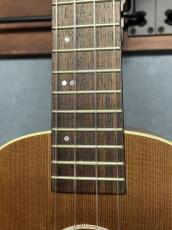 Seilen 【店頭限定】SLMT-3720 Mini Tenor 2024年製　Sinker Cedar × Pernambuco_7