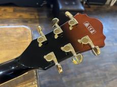 Ibanez AG95QA_8