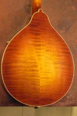 Kentucky KM-505_4