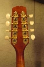 Kentucky KM-505_6