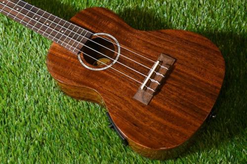 DCT DUC-152KE Concert