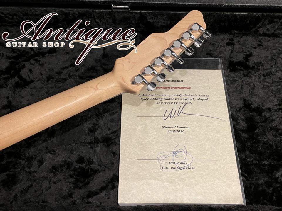 James Tyler Special Custom 7-Strings for Michael Landau 1994