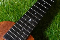 Millar SLPA-E Soprano Longneck【S/N 056】_9