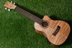 DCT UKC-2152CE Concert_2