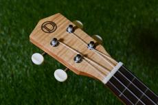 DCT UKC-2152CE Concert_5