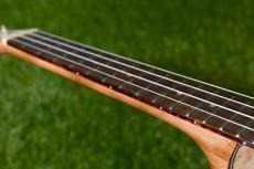 DCT UKC-2152CE Concert_7