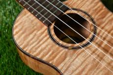 DCT UKC-2152CE Concert_9