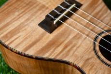 DCT UKC-2152CE Concert_10