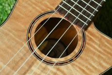 DCT UKC-2152CE Concert_11