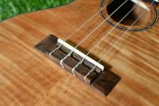 DCT UKC-2152CE Concert_12