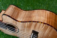DCT UKC-2152CE Concert_15