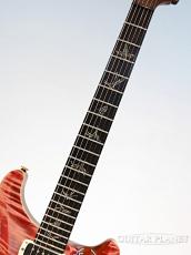 Paul Reed Smith [PRS] Private Stock #5197 Paul's Guitar Brazilian -Red Northern Lights- 2014USED!!_6
