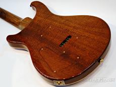 Paul Reed Smith [PRS] Private Stock #5197 Paul's Guitar Brazilian -Red Northern Lights- 2014USED!!_9