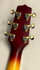 Takamine 【決算&月末セール!】TSP178AC FCB【フレイムメイプル使用!】【国産エレアコ!】_9