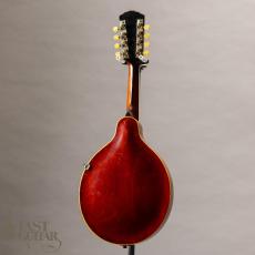 Gibson A-4 Black Top _14