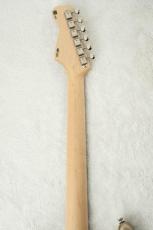 FREEDOM CUSTOM GUITAR RESEARCH Custom Order RS ST SSH Alder -Frost Gold w/Matching Head-_9