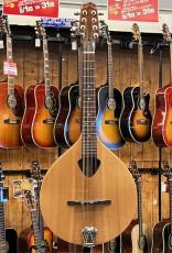 Gold Tone Mandola Traditional Irish Mandola_2