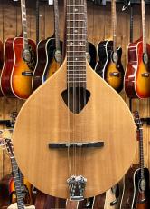Gold Tone Mandola Traditional Irish Mandola_3