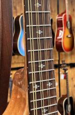 Gold Tone Mandola Traditional Irish Mandola_4