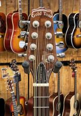 Gold Tone Mandola Traditional Irish Mandola_5