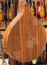 Gold Tone Mandola Traditional Irish Mandola_6