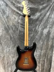 Fender Player Stratocaster_5