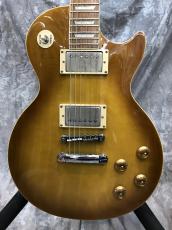 Epiphone Les Paul Standard Mod_2