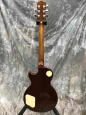 Epiphone Les Paul Standard Mod_5