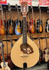 HORA Mandola M1088_2