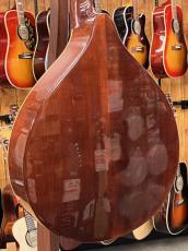 HORA Mandola M1088_7