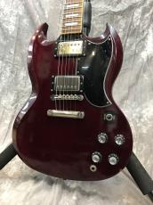 Edwards E-SG-120LT