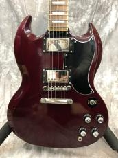 Edwards E-SG-120LT_2