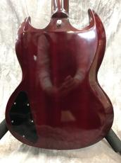 Edwards E-SG-120LT_3