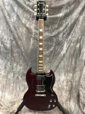 Edwards E-SG-120LT_4