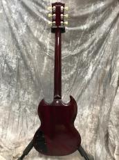 Edwards E-SG-120LT_5