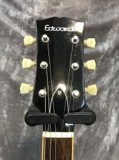 Edwards E-SG-120LT_6