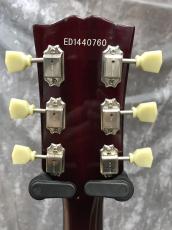 Edwards E-SG-120LT_7