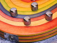 Gibson Les Paul Zoot Suit Rainbow 2013_8