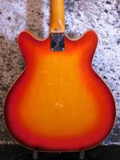 Fender Coronado Ⅱ'67_4