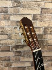 Takamine タカミネ　200FH　2023年製_5
