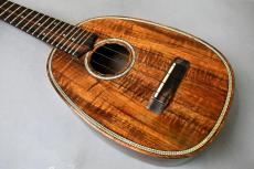 Antar Concert Pineapple HawaiianKoa #2057166