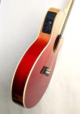 Takamine 【決算&月末セール!】CUSTOM TSP138C Red Flame Gradation【極杢AAAメイプル】【カタログ外 特注カラー】【現地選定材】_7