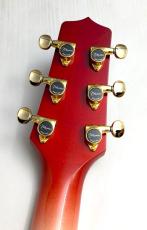 Takamine 【決算&月末セール!】CUSTOM TSP138C Red Flame Gradation【極杢AAAメイプル】【カタログ外 特注カラー】【現地選定材】_11