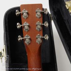 Breedlove DR Deluxe Custom_7