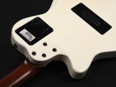 Godin ACS SA 2014 White Limited_11