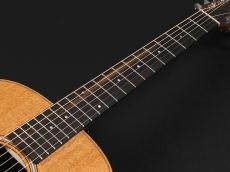 Taylor GS Mini Mahogany_7
