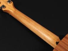 Taylor GS Mini Mahogany_9
