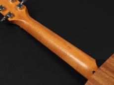 Taylor GS Mini-e Mahogany_9