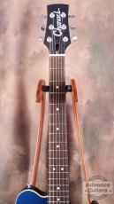 Charvel CEA-398_10